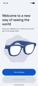 Google Glasses